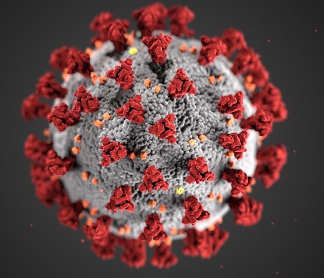 ¿Qué medidas introduce el Estado de Alarma decretado en España por el coronavirus (COVID-19)?